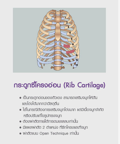 วัสดุที่ใช้ในการเสริมจมูก / ทำจมูก ด้วยซิลิโคนอ่อน