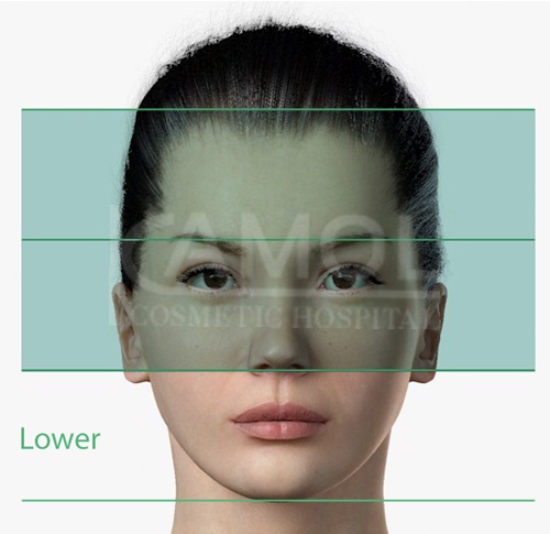 แสดงศัลยกรรมใบหน้าส่วนล่าง (Lower Part)