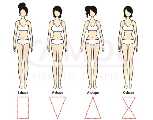 รูปร่างของผู้หญิงจะเกิดการสะสมของไขมันตามอก เอว สะโพก ก้น ต้นขา และ  หน้าท้อง ทำให้เกิดเป็นรูปทรงต่างๆ ได้ 4 แบบ